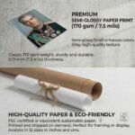 Mohammad Reza Shah Pahlavi Glossy Paper Poster — detail 4