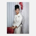 Shahbanu Farah White Gown Canvas Print – Persian Imperial Historic Wall Art — detail 2